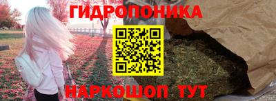 гашик Ирбит