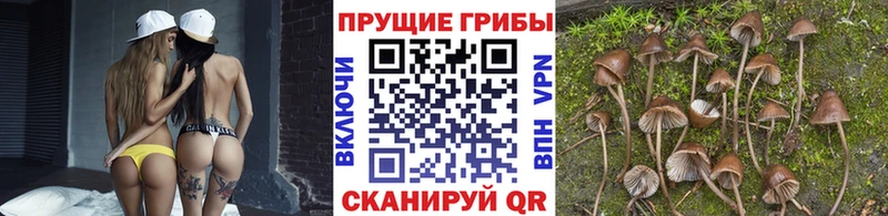 Галлюциногенные грибы прущие грибы  где можно купить наркотик  Кинешма 