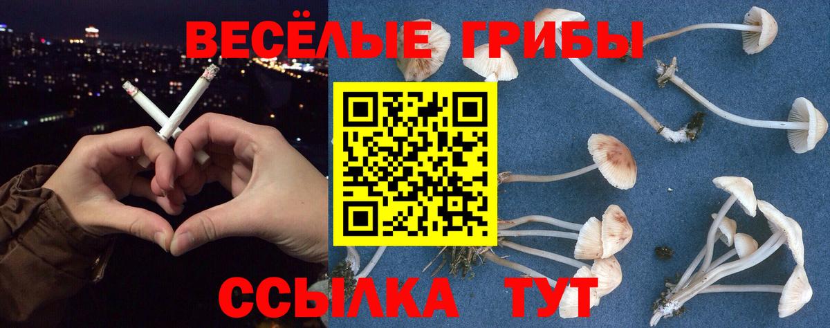 Кинешма  Псилоцибиновые грибы прущие грибы  Вход с VPN 